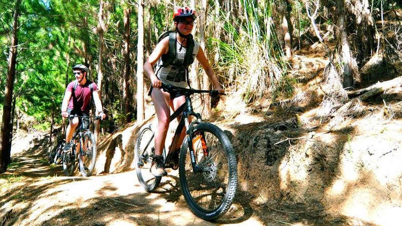 Hit the track and shred up some serious fun at the Waitangi Mountain Bike Park.